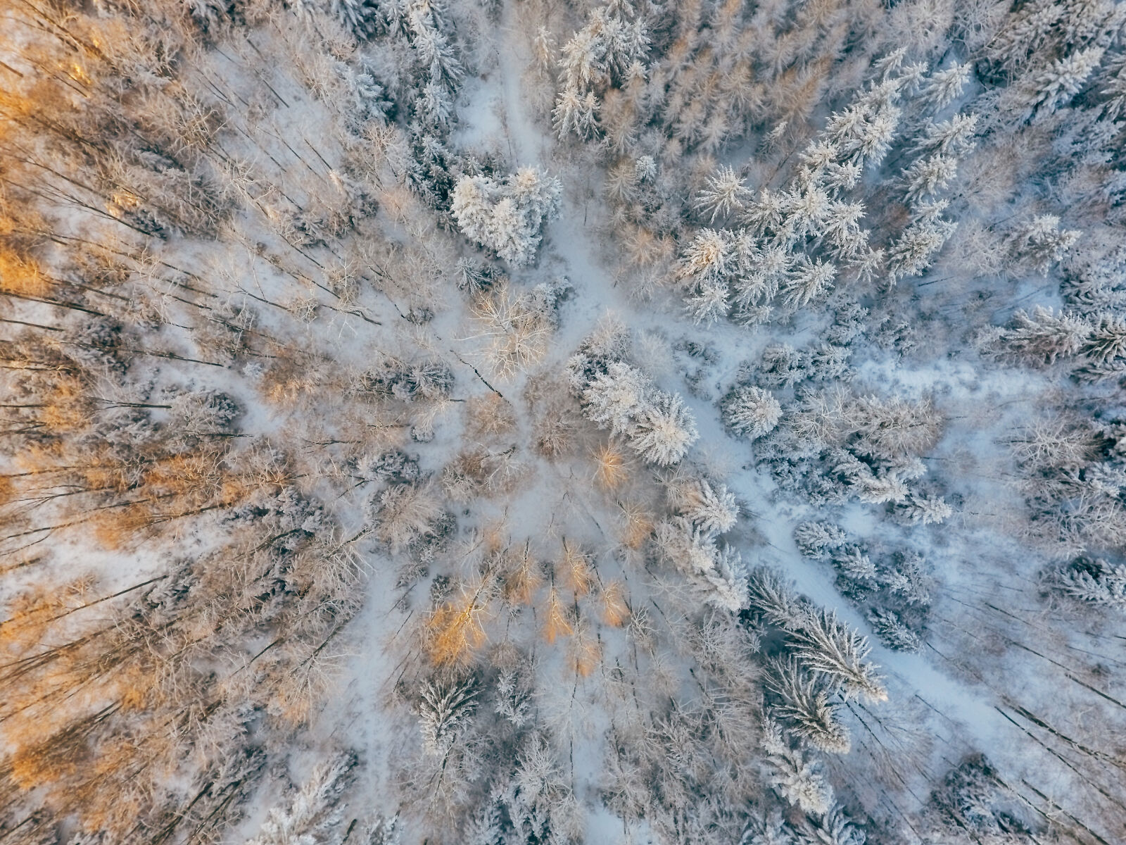 DJI FC330 sample photo. Above, aerial, shot, aerial photography