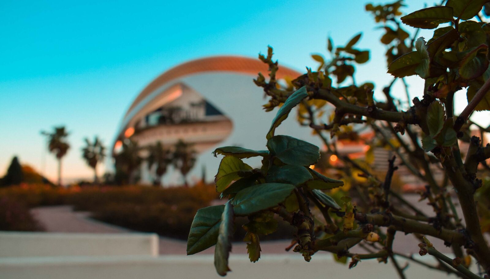 Nikon D5300 sample photo. Art, music, entertainment photography
