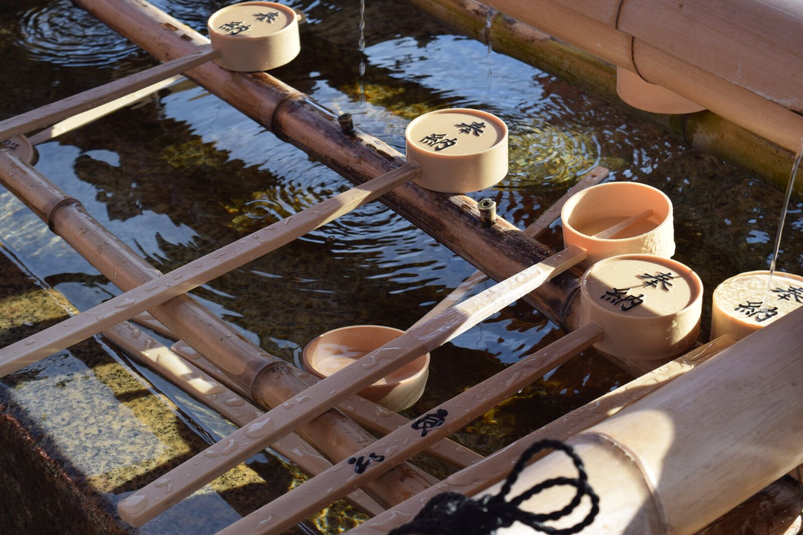 Nikon D3300 sample photo. Kyoto photography