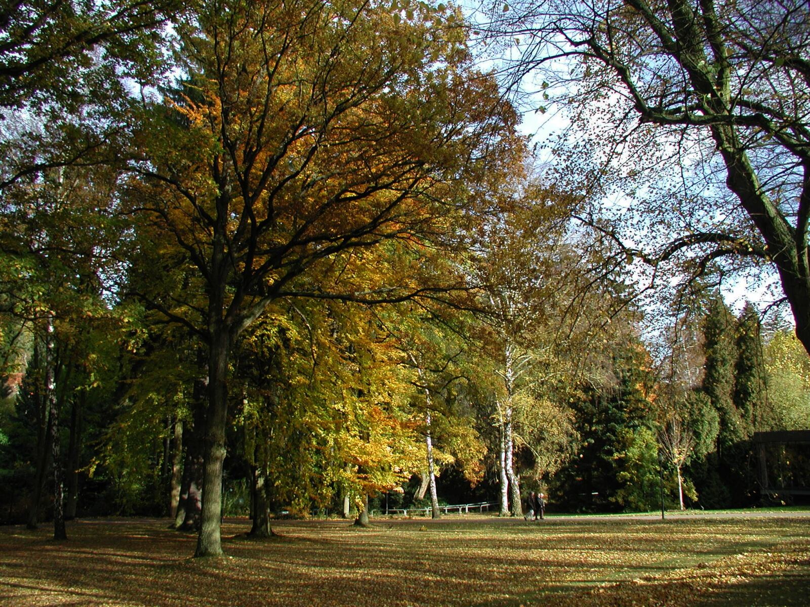 Olympus C3030Z sample photo. Autumn, nature, mood photography