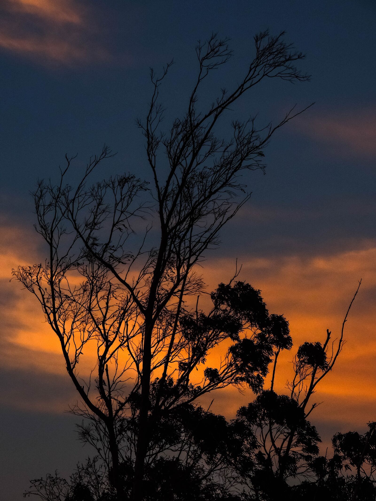Nikon Coolpix P520 sample photo. Africa, sunset, nature photography