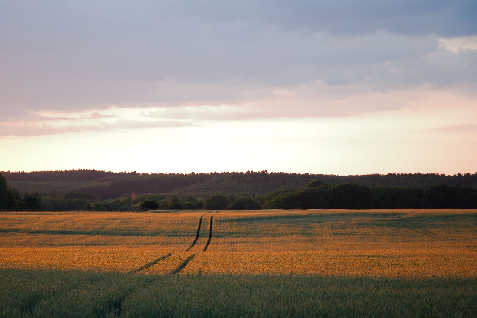 Canon EOS 6D sample photo. Landscape, nature, panorama photography