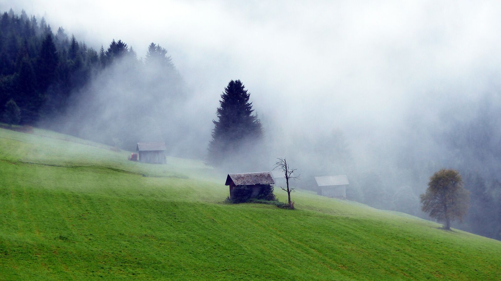 Panasonic Lumix DMC-FZ200 sample photo. Nature, alpine, fog photography