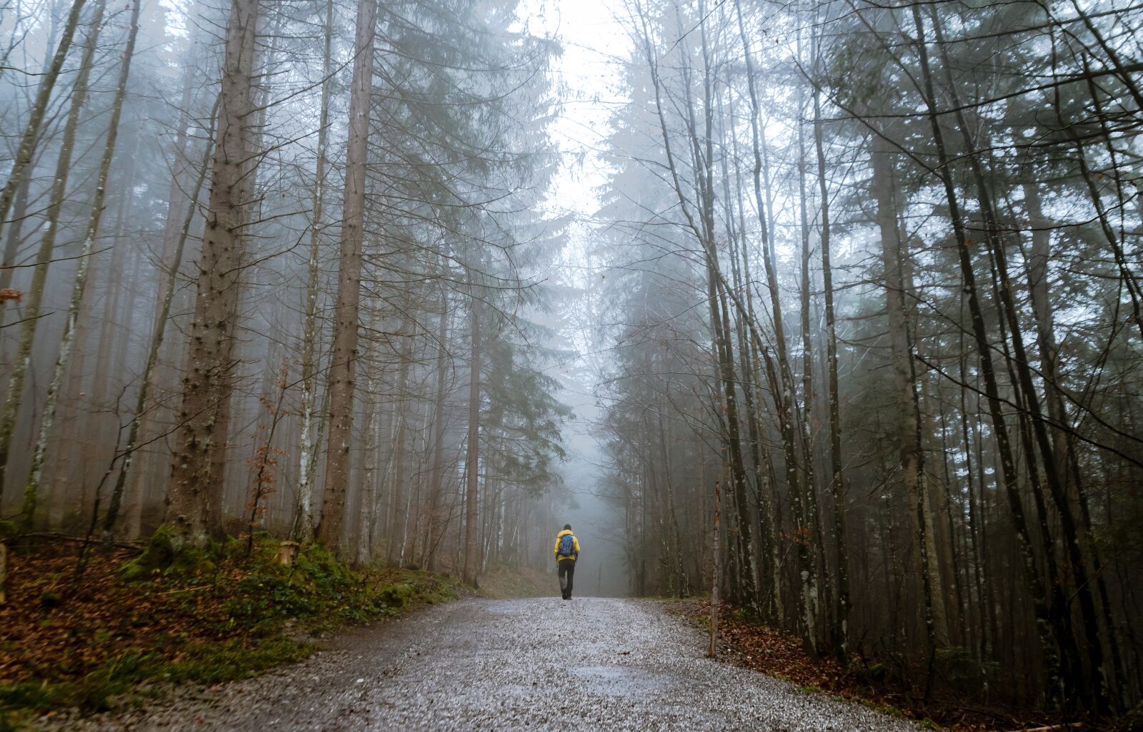Nikon D610 sample photo. People, man, alone photography