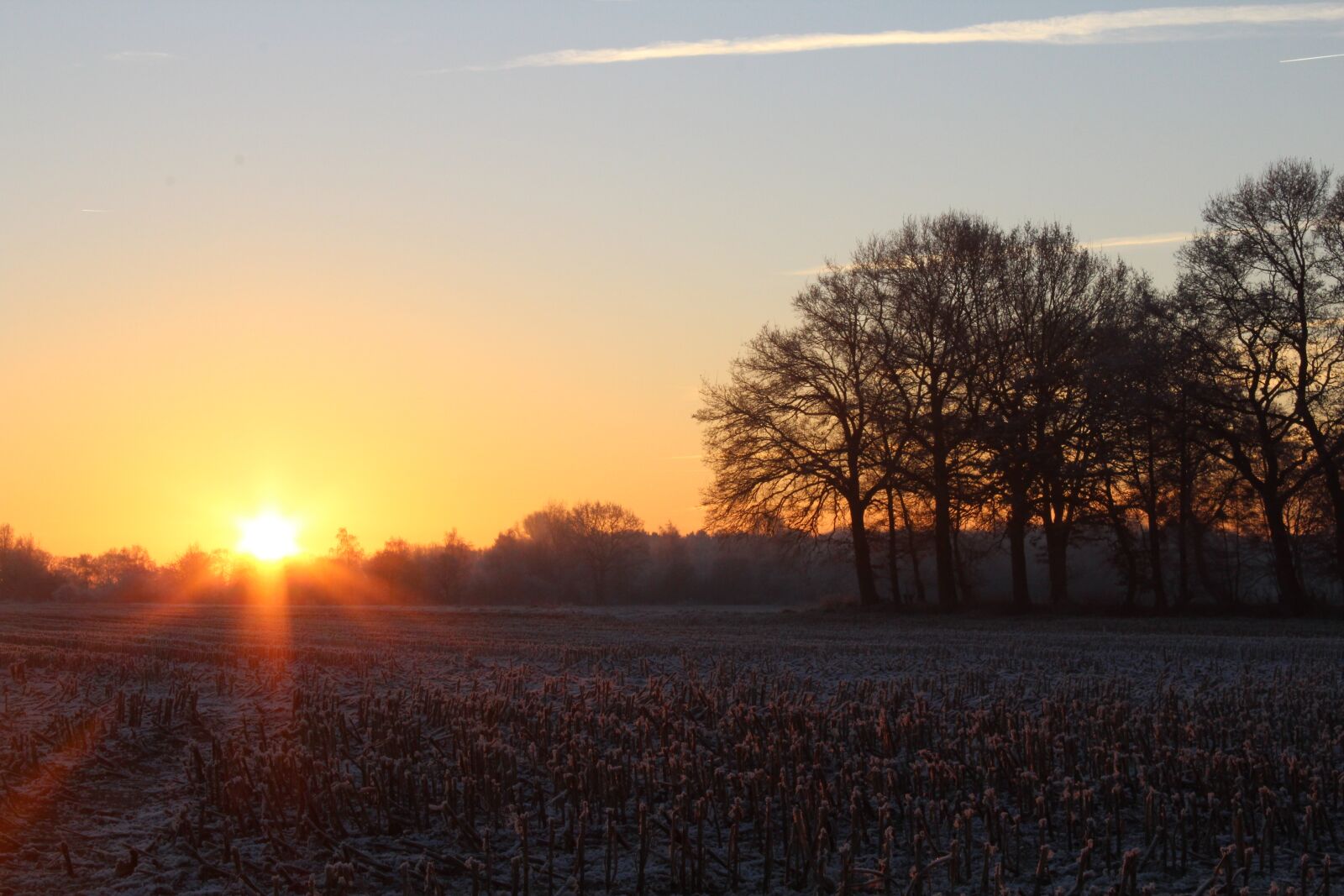 Canon EOS 1200D (EOS Rebel T5 / EOS Kiss X70 / EOS Hi) sample photo. Sunrise, winter, sun photography