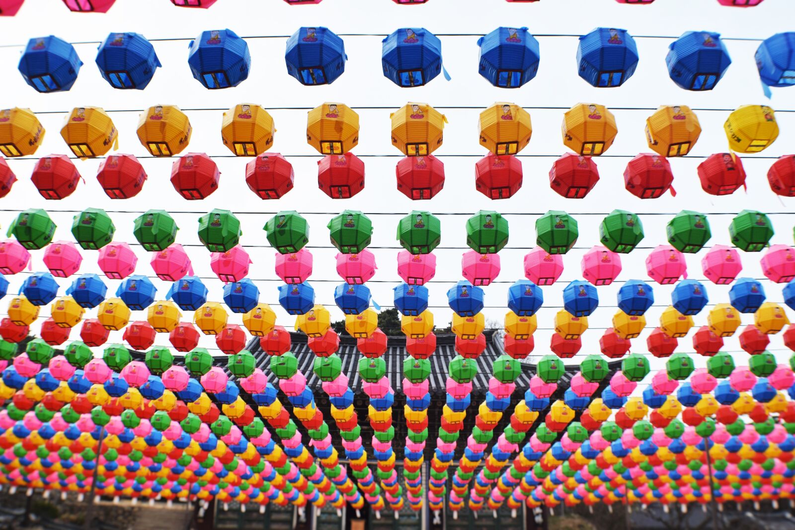 Nikon D3300 sample photo. Color, decoration, korea, landmark photography