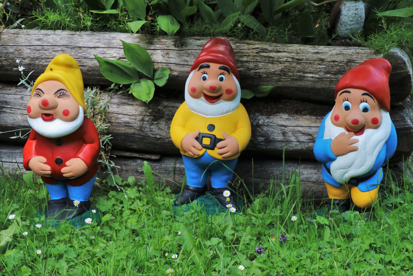 Canon EOS 80D sample photo. Garden ornaments, dwarves, three photography