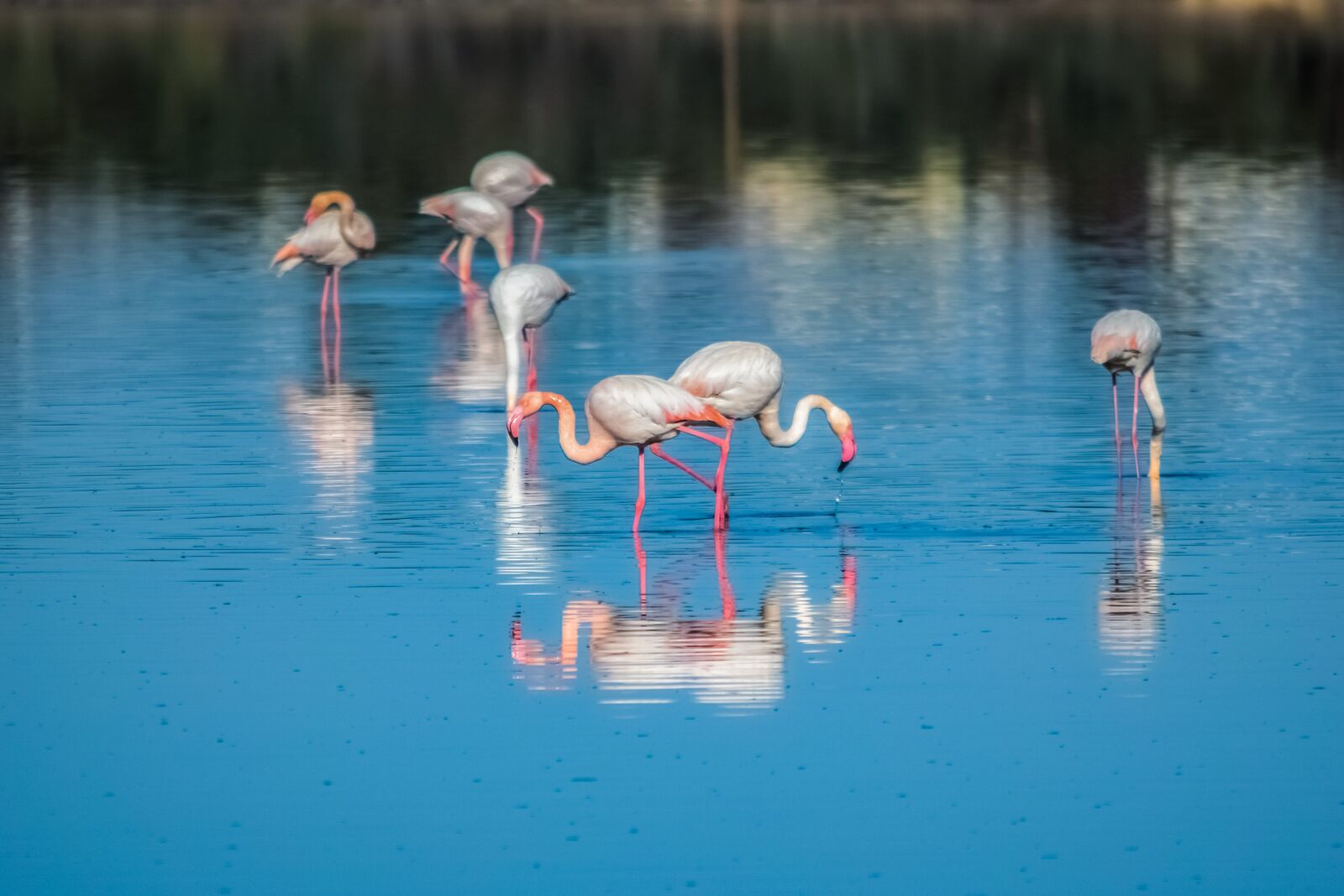 Nikon D3300 sample photo. Water, reflection, lake photography