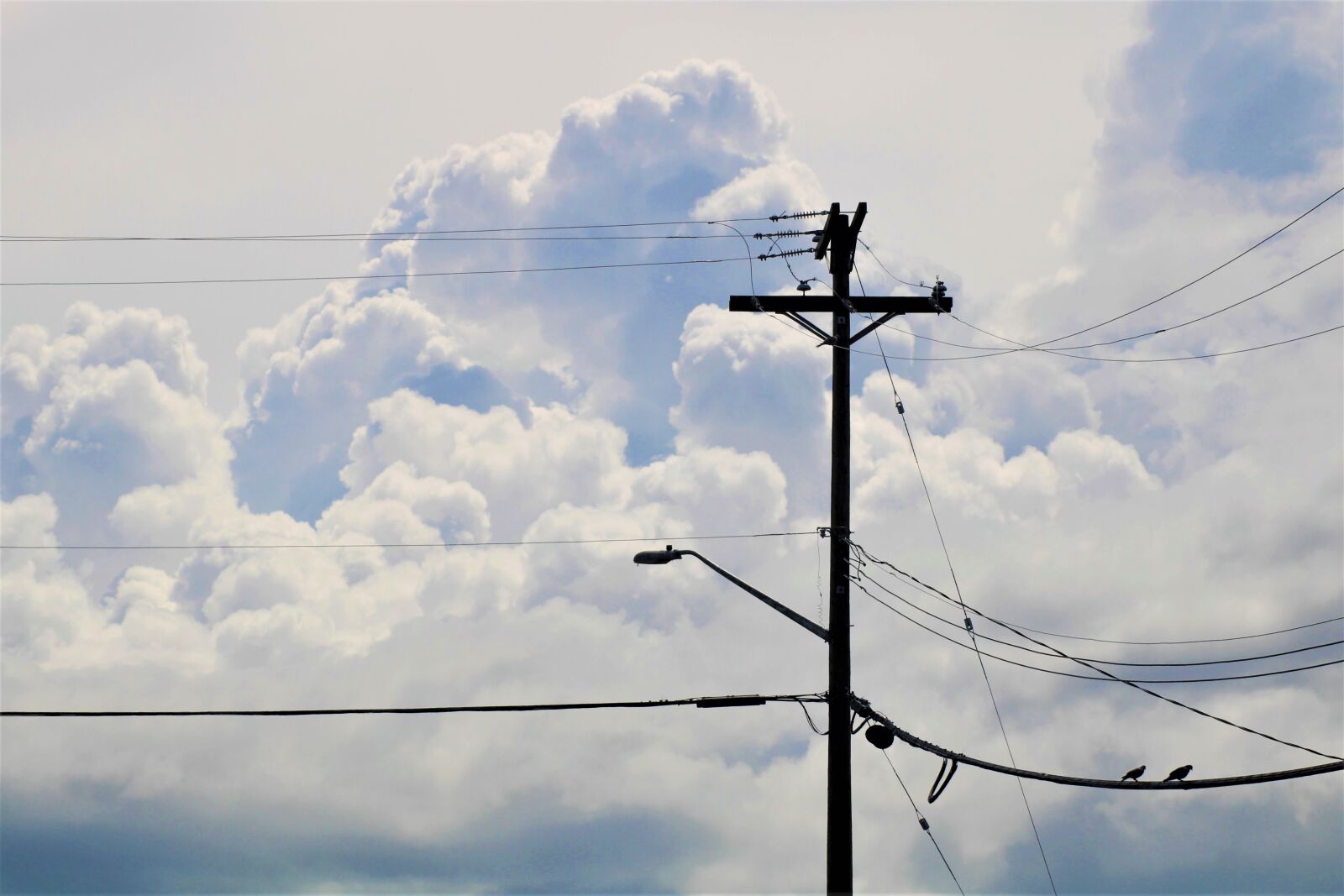 Canon EOS 2000D (EOS Rebel T7 / EOS Kiss X90 / EOS 1500D) sample photo. Power lines, clouds, weather photography