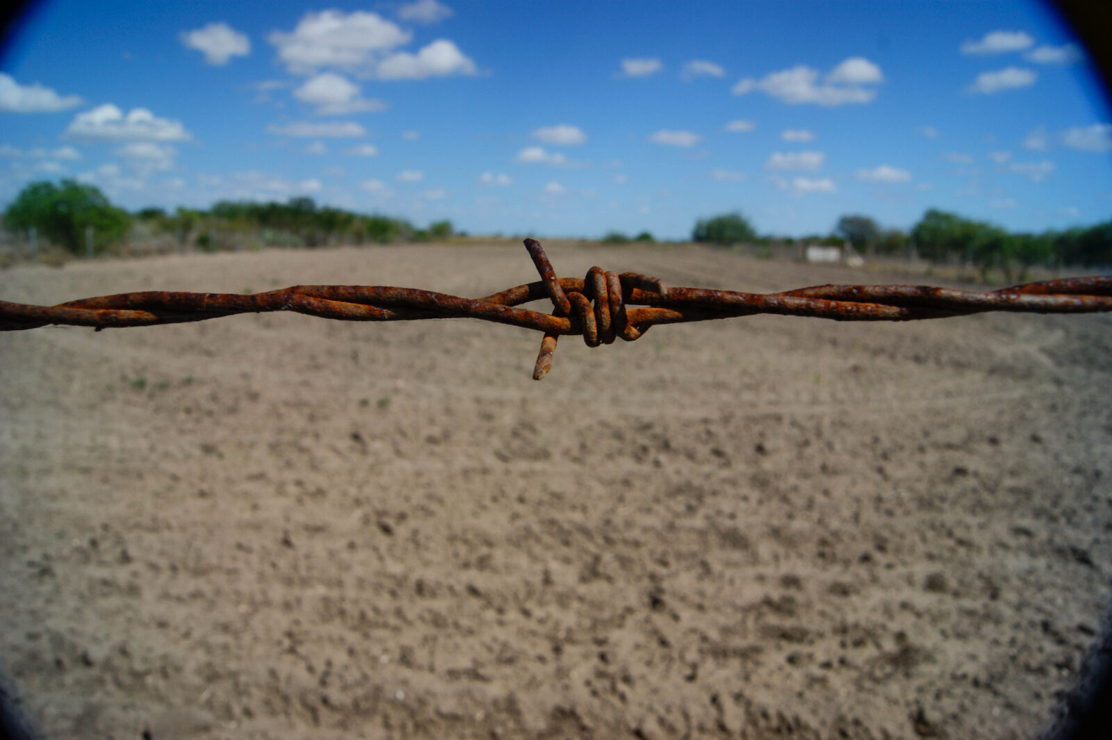 Sony Alpha DSLR-A390 sample photo. Ranch photography