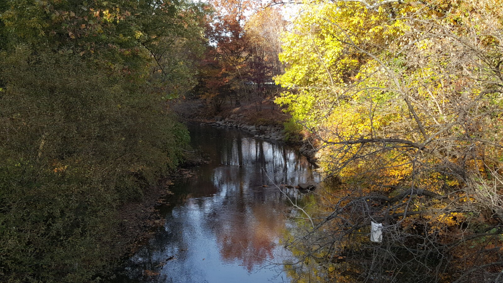Samsung Galaxy Note5 sample photo
