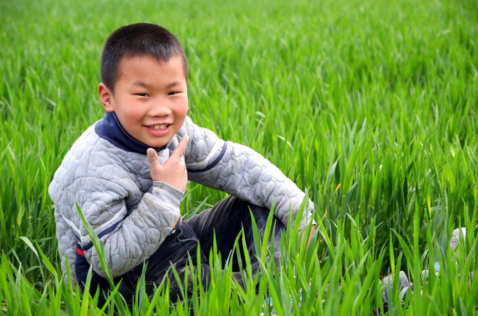 Nikon D7000 sample photo. Portrait, child, in wheat photography
