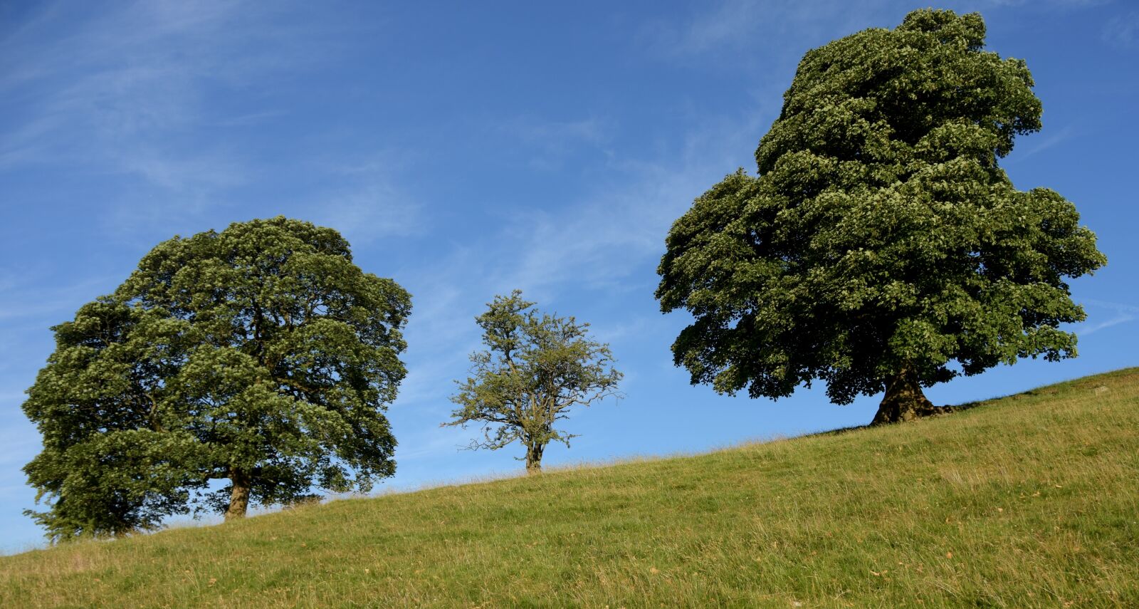 Nikon D7200 sample photo. England, lakeland, landscape photography