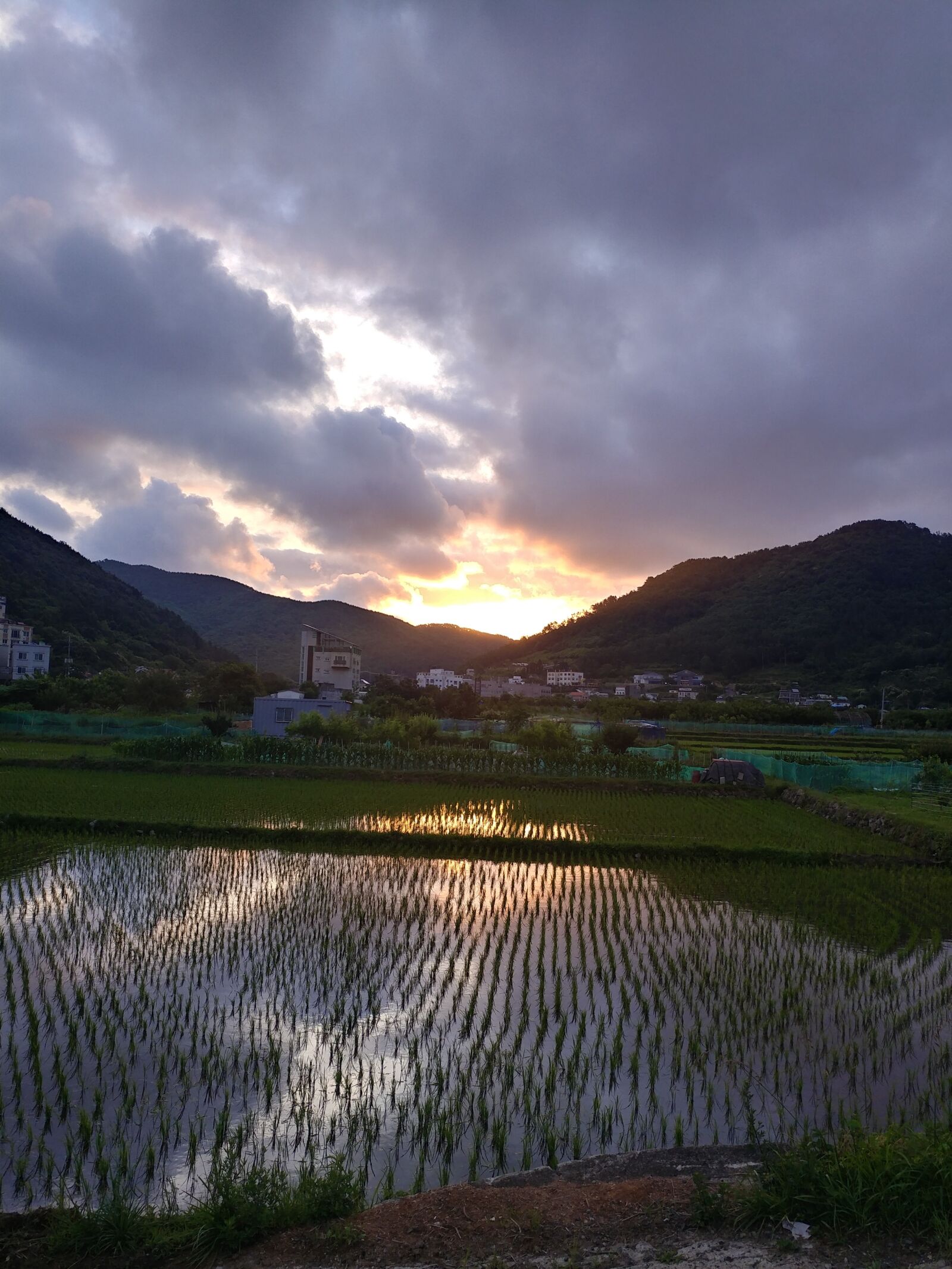 LG V20 sample photo. Evening glow, sunset photography