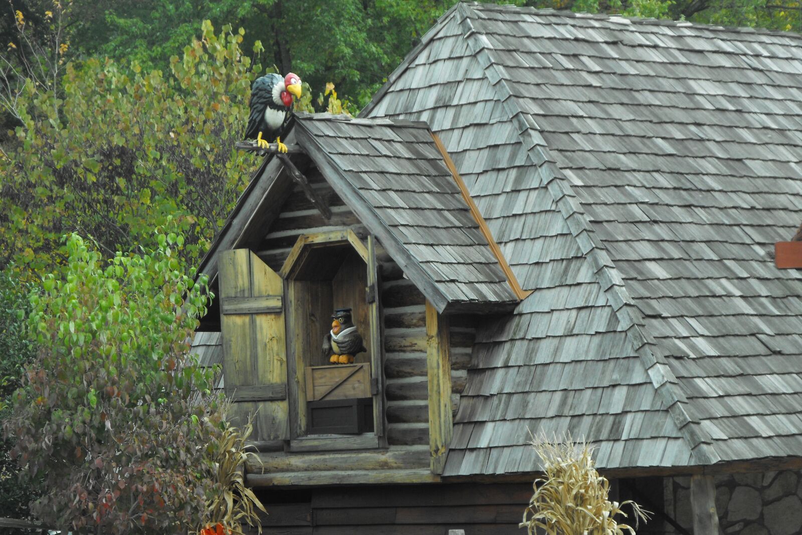 Fujifilm FinePix S1000fd sample photo. Fall, cabin, house photography