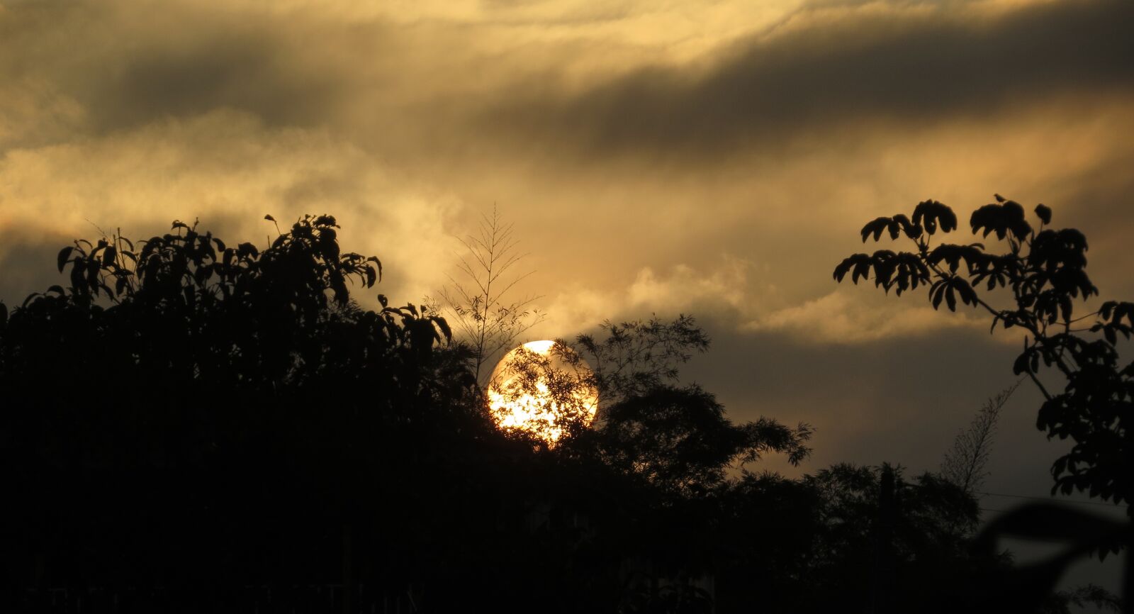 Canon PowerShot SX50 HS sample photo. Nature, sunset, sun photography