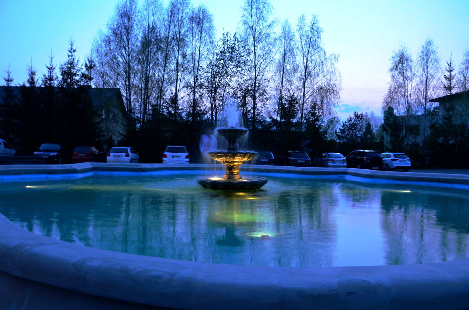 Nikon D5100 sample photo