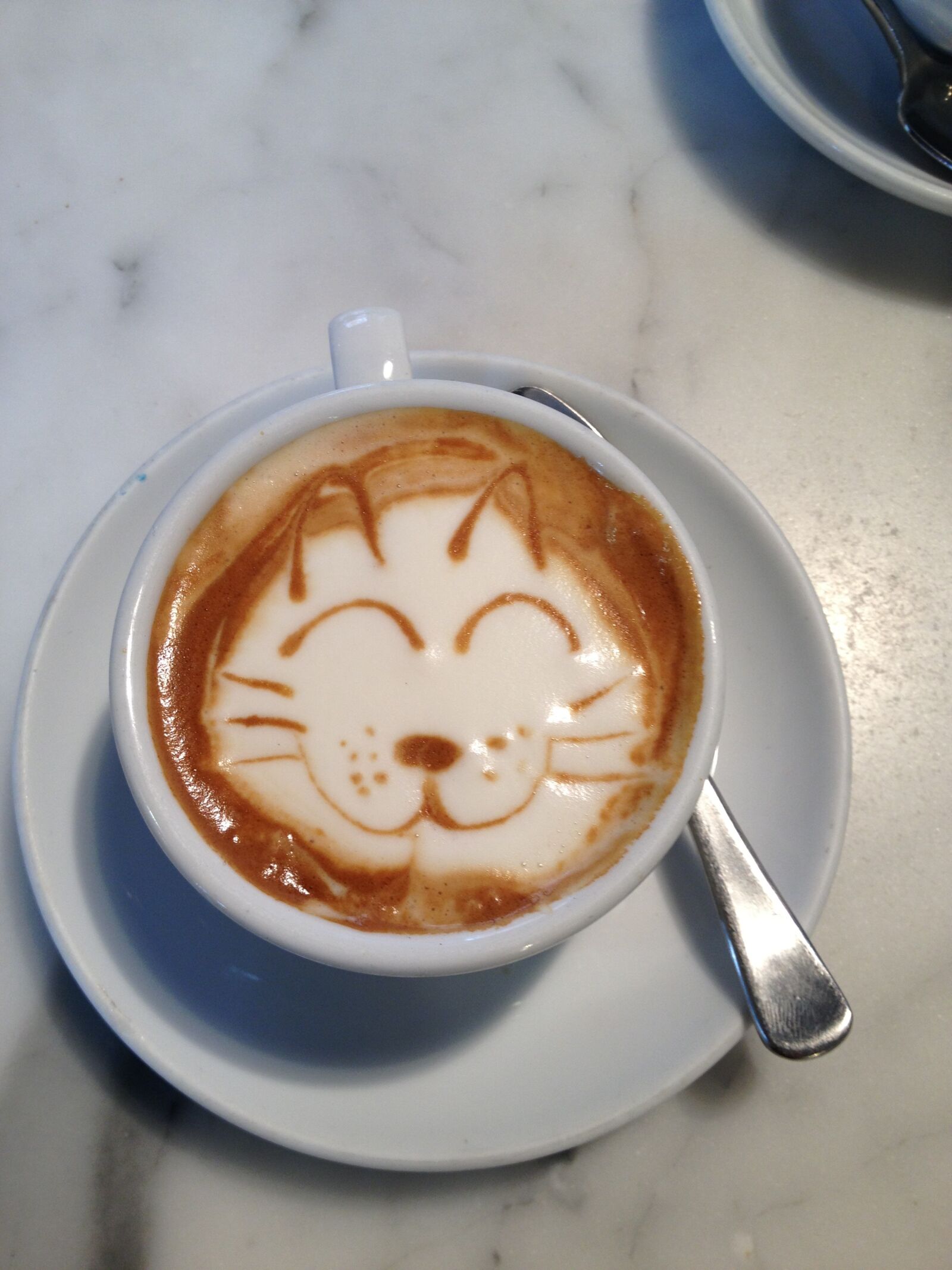 Apple iPhone 4S sample photo. Coffee, cat, whisker photography
