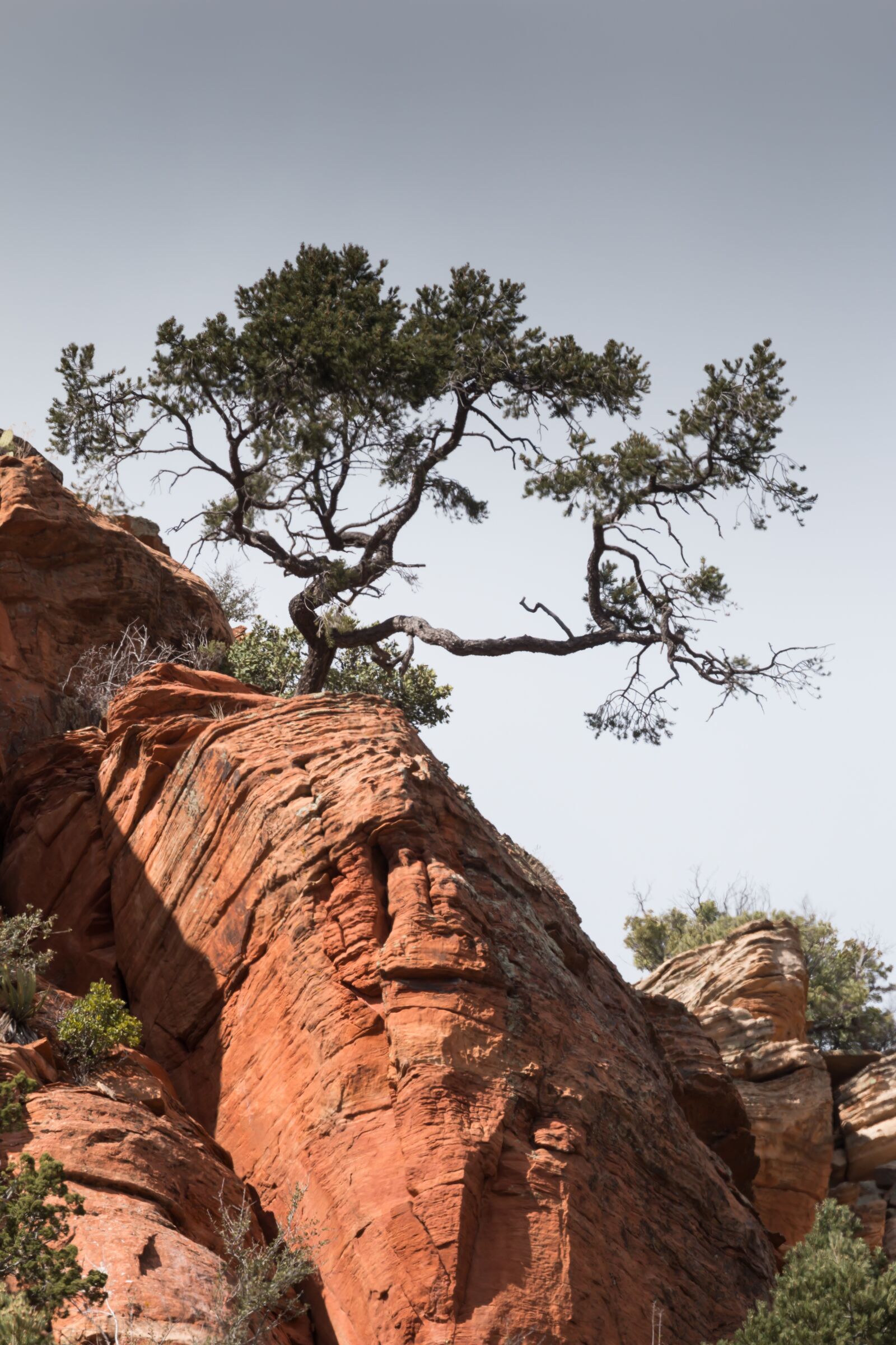Canon EOS 70D + Canon EF 100-400mm F4.5-5.6L IS II USM sample photo. Tree, cliff, southwest photography