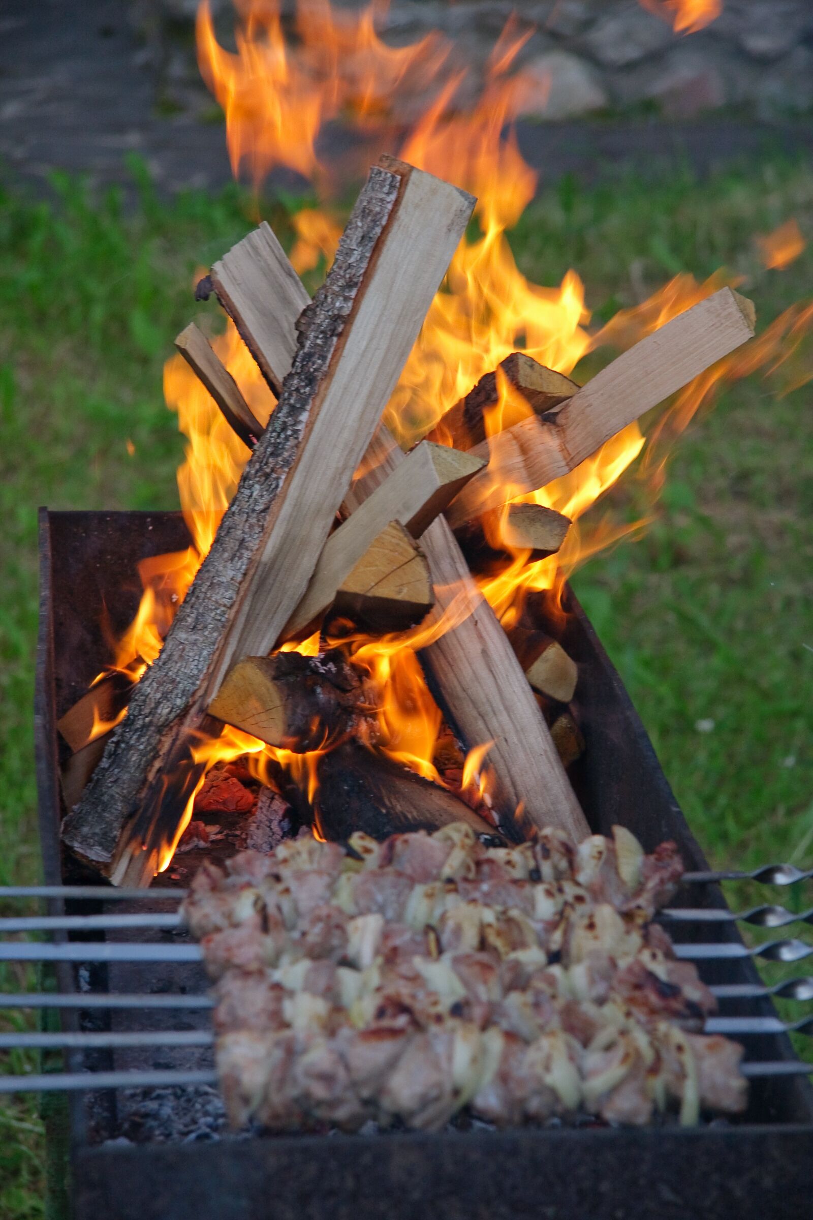 Canon EOS 40D sample photo. Fire, mangal, shish kebab photography