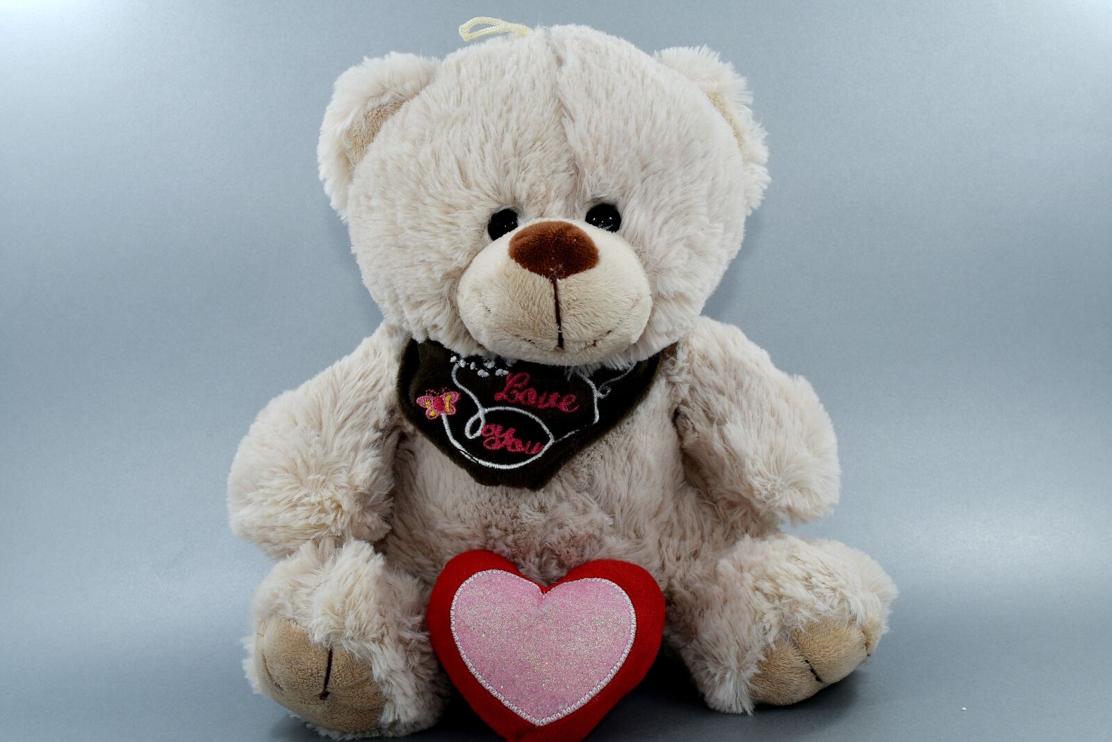 Nikon D5500 sample photo. Heart, love, message, romance photography