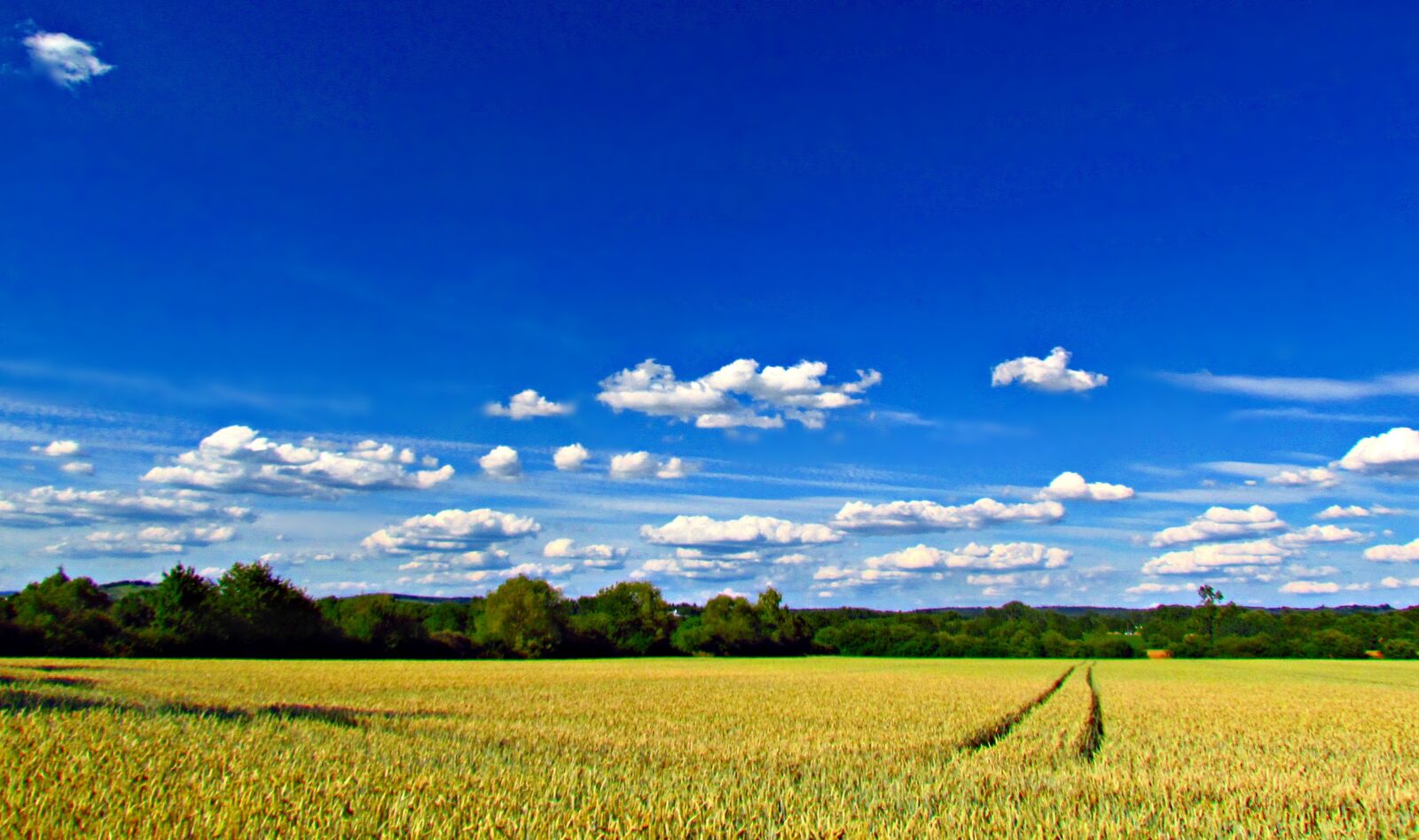 Canon PowerShot SX30 IS sample photo. Landscape, field, corn photography