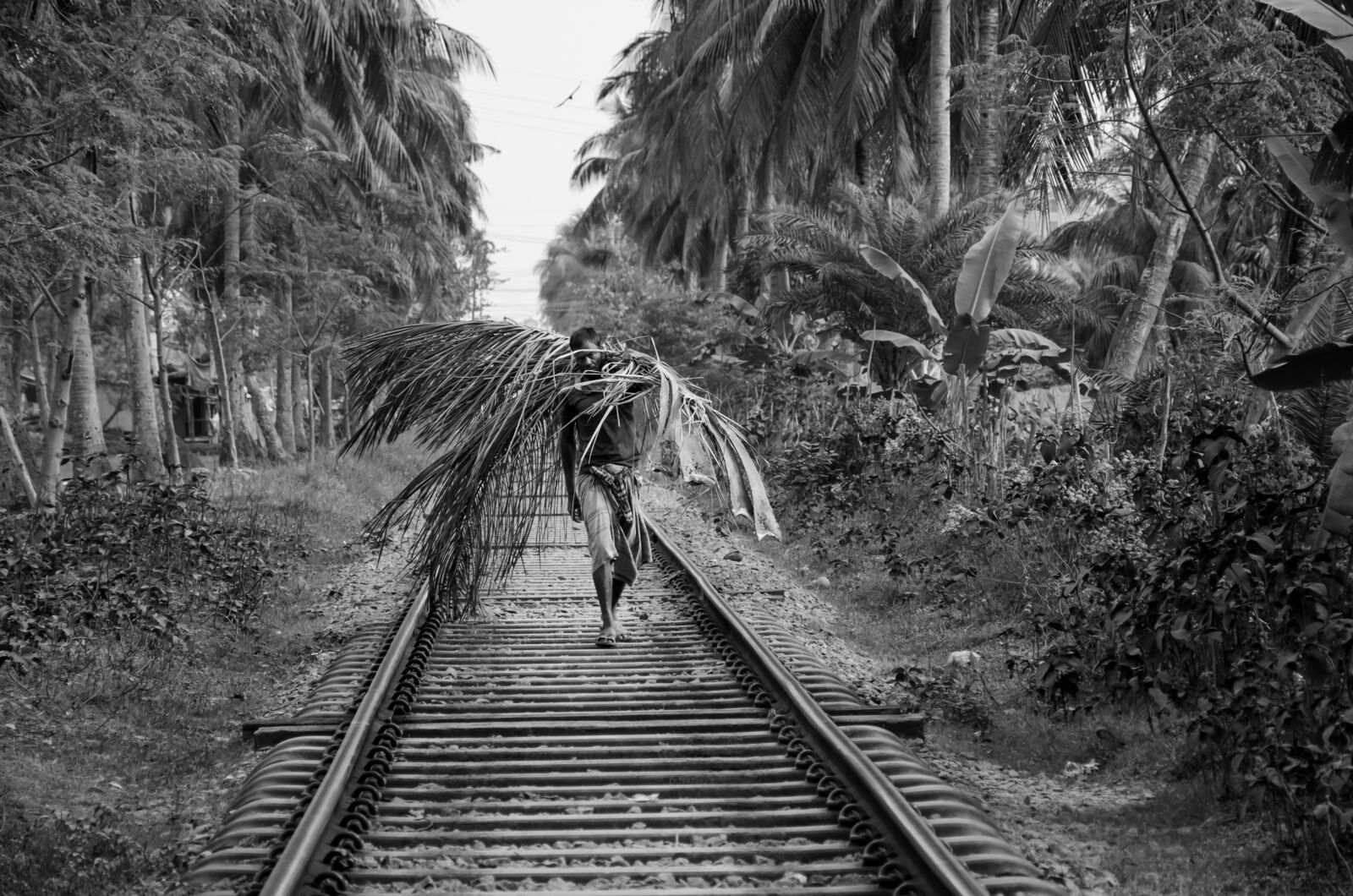 Nikon D7000 sample photo. Landscape, man, working photography