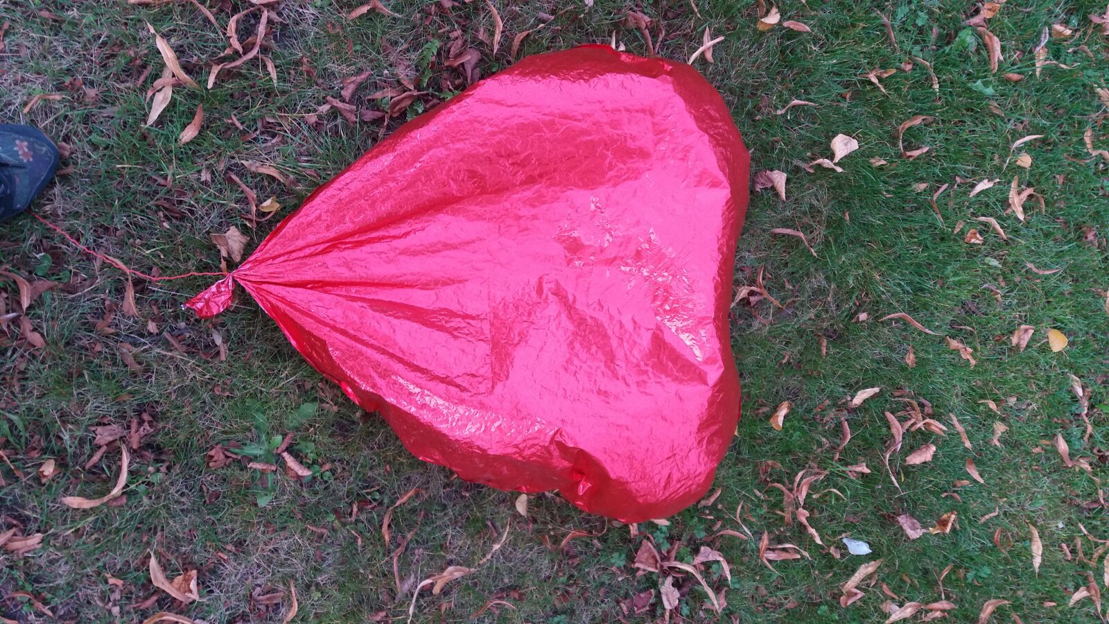 Samsung SM-J500FN sample photo. Heart, balloon, grass photography