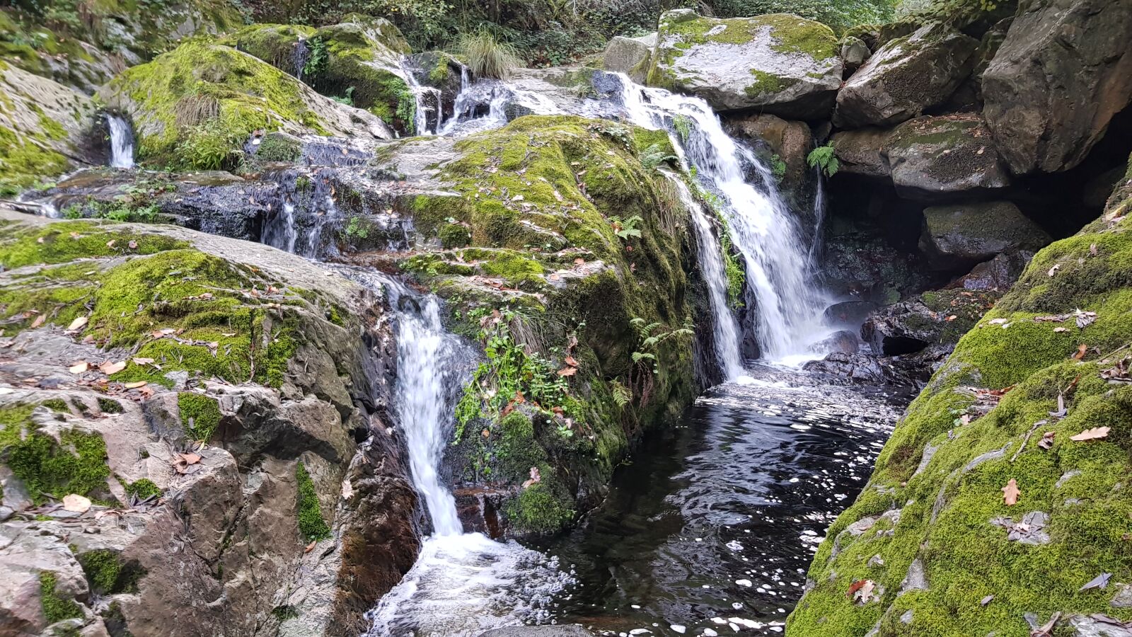 Samsung Galaxy S8 sample photo. Autumn, galicia, green, mossy photography