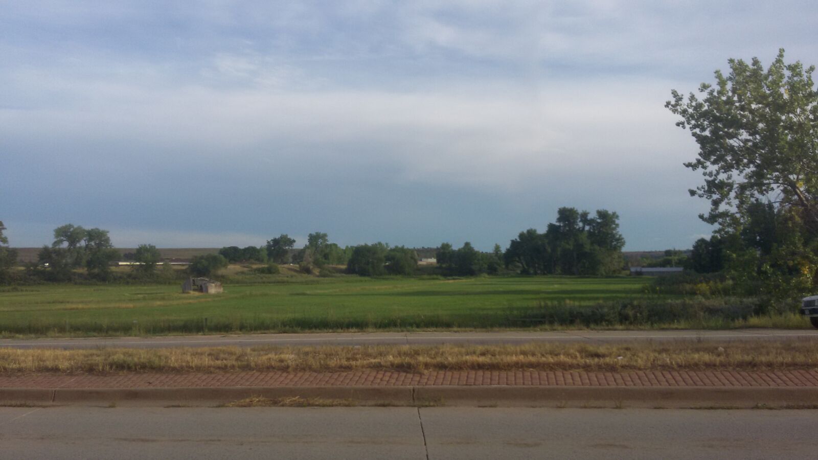 Samsung Galaxy S5 Mini sample photo. Nature photography