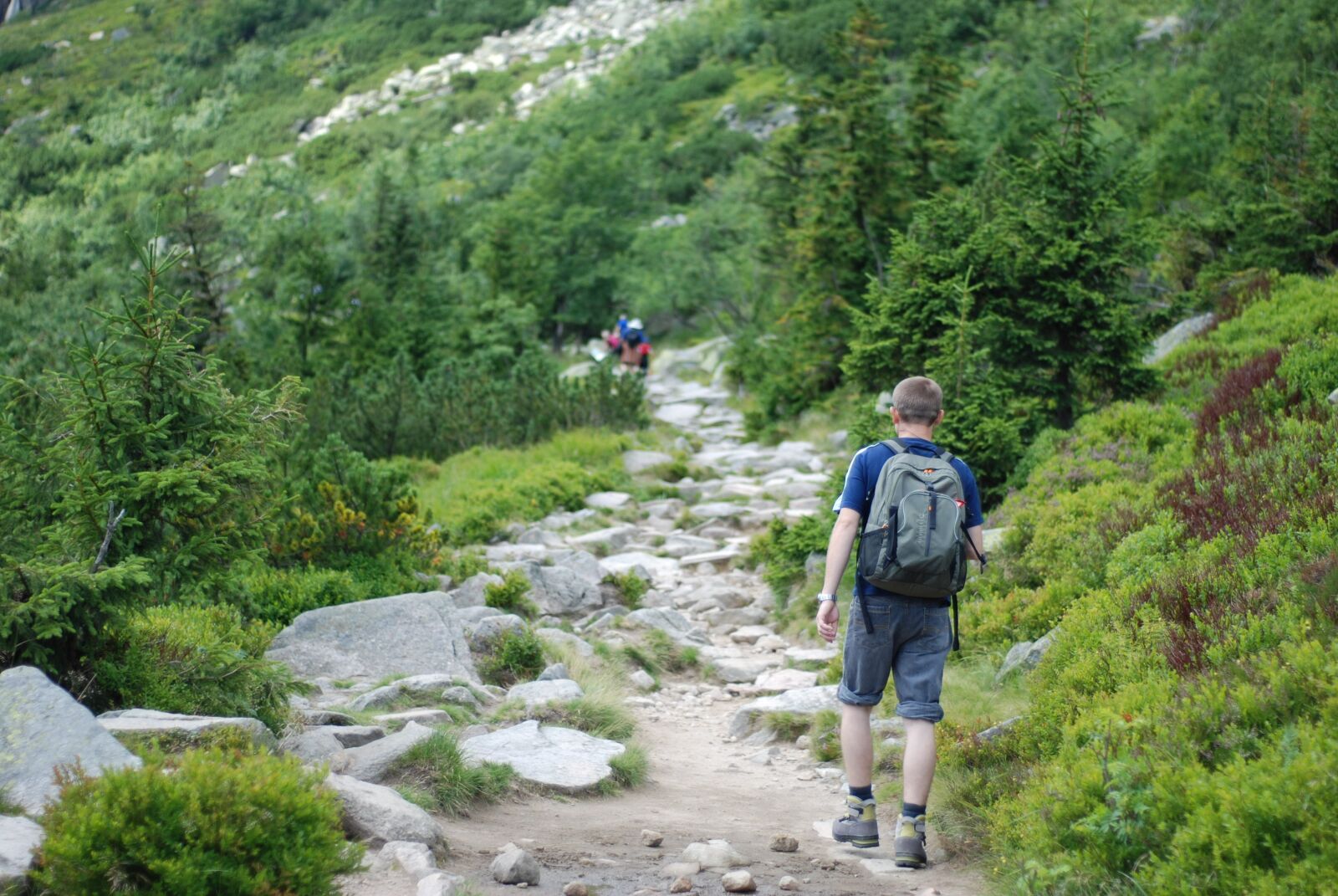 Nikon D80 sample photo. Hiking walking, mountain hiking photography