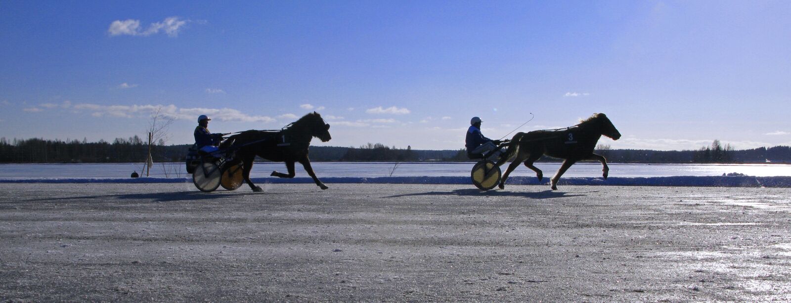 Canon POWERSHOT G9 sample photo. Winter, horse, trotting photography
