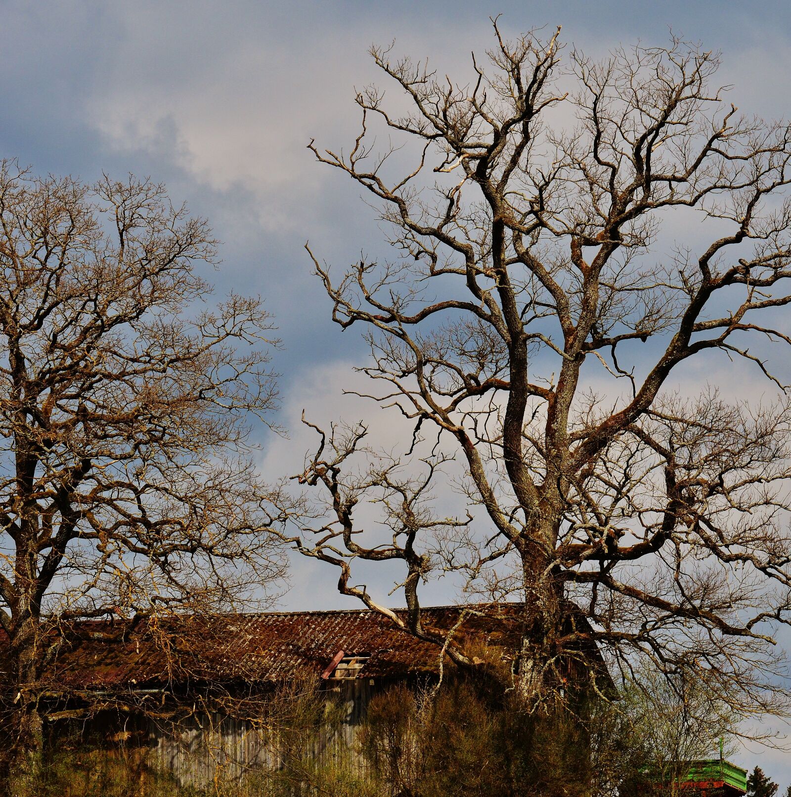 Nikon D3200 sample photo. Trees, sky, hut photography