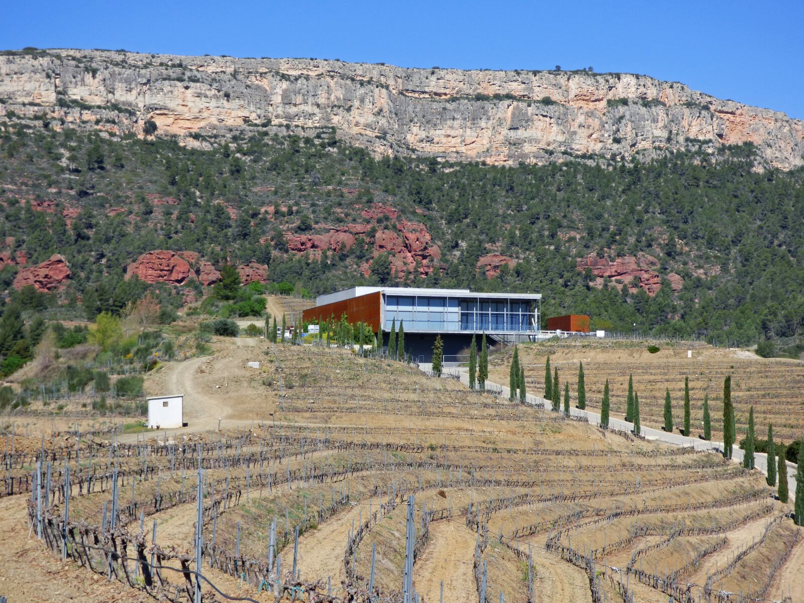 Panasonic Lumix DMC-FZ70 sample photo. Winery, vineyards, priorat photography