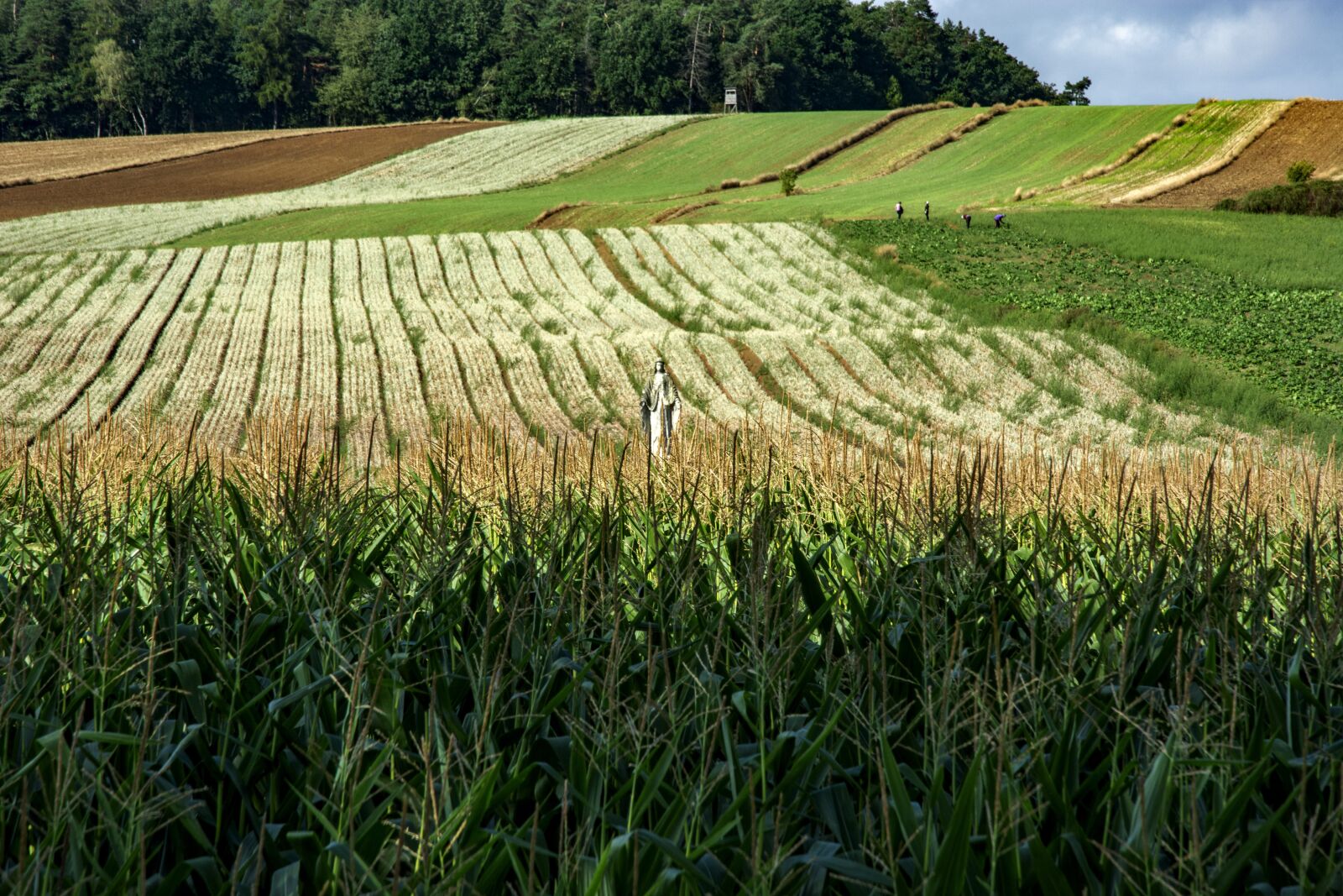 Nikon D7100 sample photo. Landscape, poland, village photography