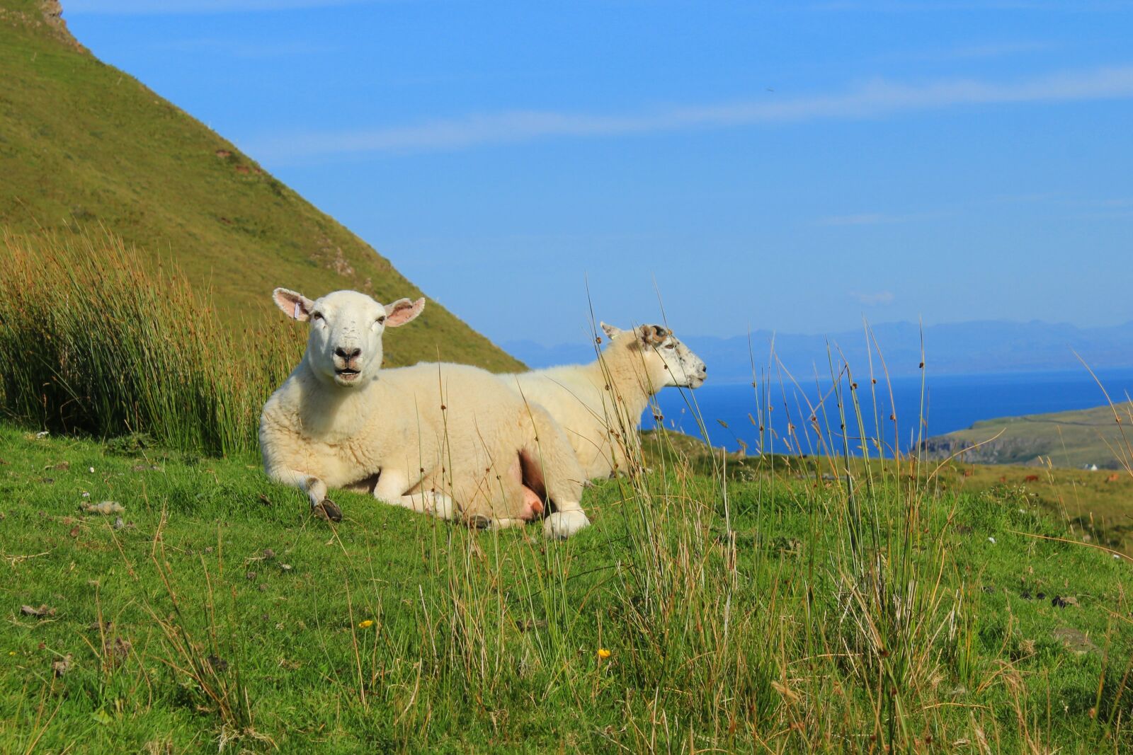 Canon EOS 600D (Rebel EOS T3i / EOS Kiss X5) sample photo. Scotland, isle of skye photography