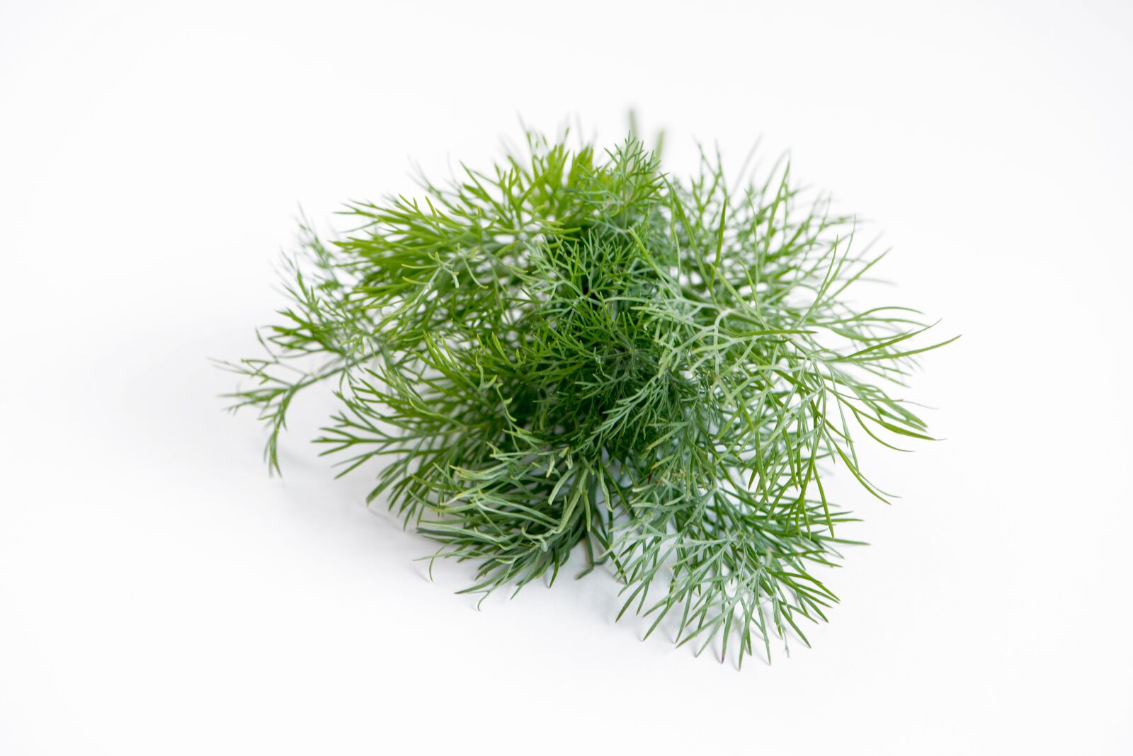 Nikon D750 sample photo. Dill, spice, plant photography
