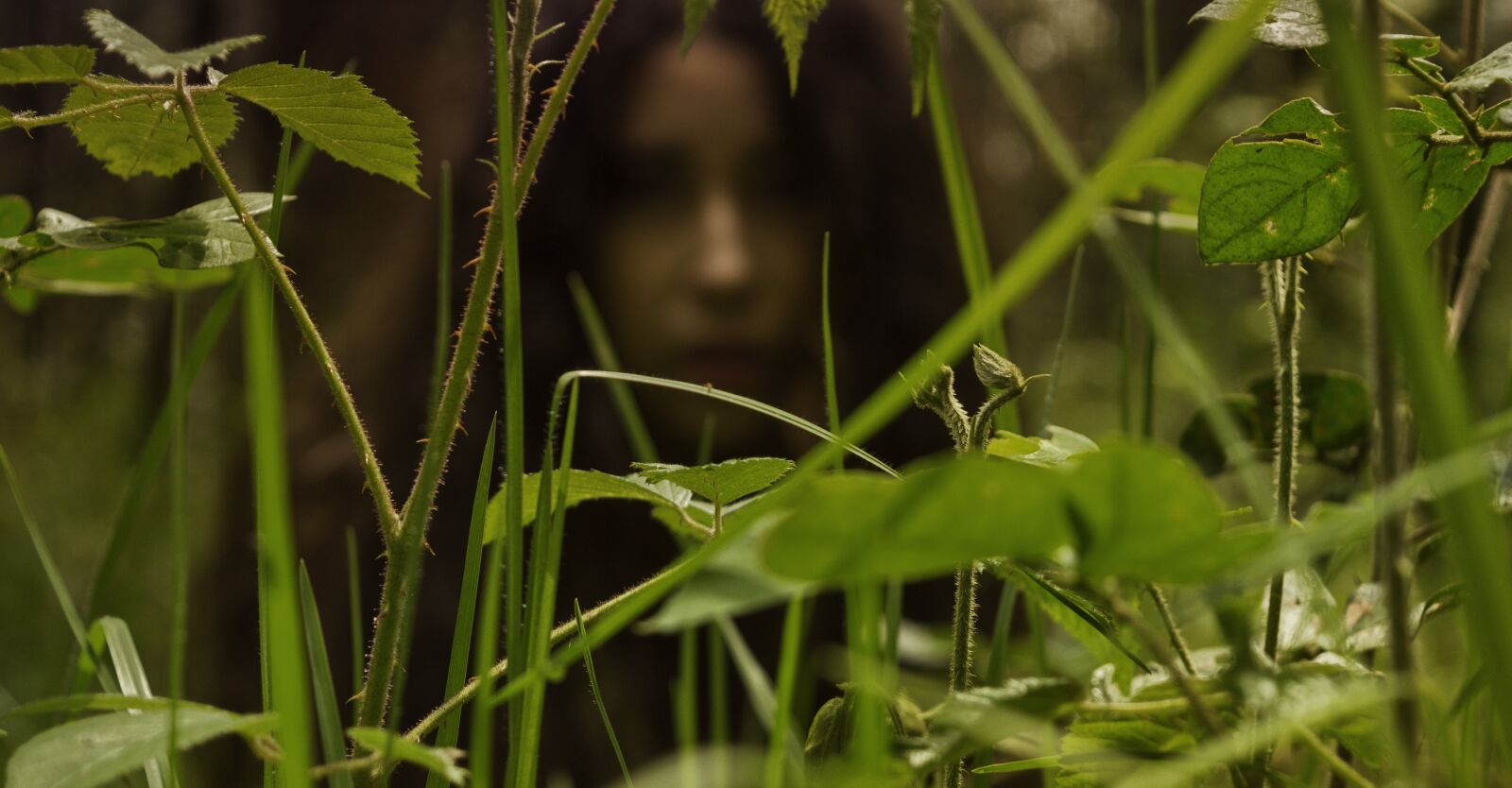 Nikon D3200 sample photo. Forest, green, leaves photography