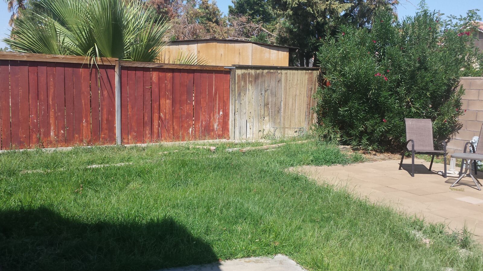 Samsung Galaxy S4 sample photo. Grass, yard, lawn photography