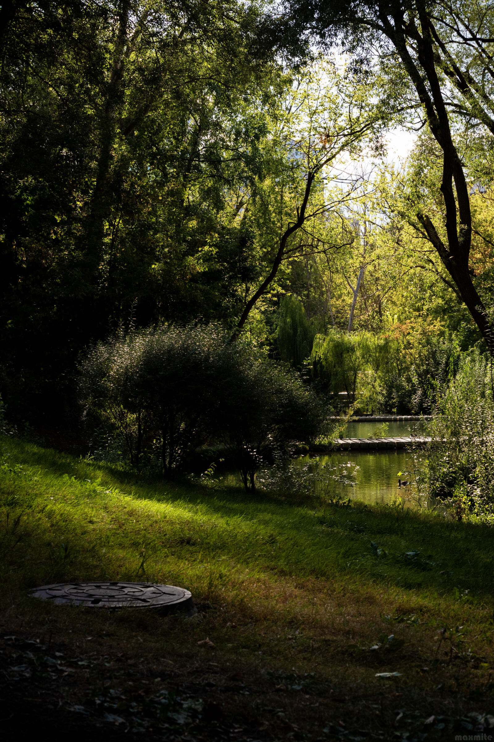 Nikon D750 sample photo