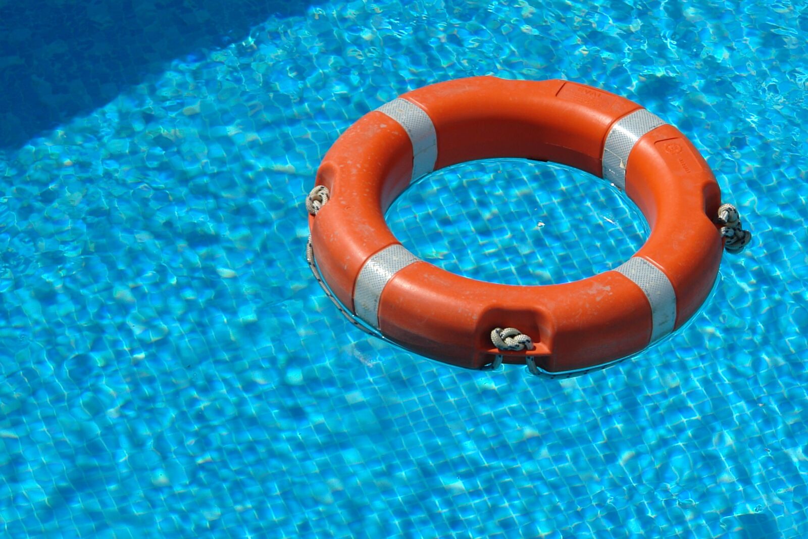 Sony DSC-R1 sample photo. Life saver, water, safety photography