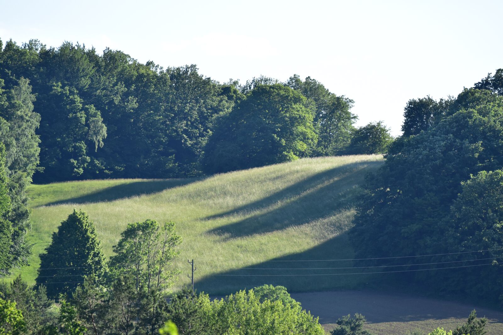 Nikon D5600 sample photo. Nature, landscape, meadow photography