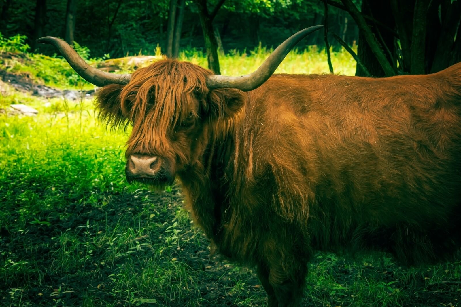Nikon D3300 sample photo. Beef, aurochs, ox photography