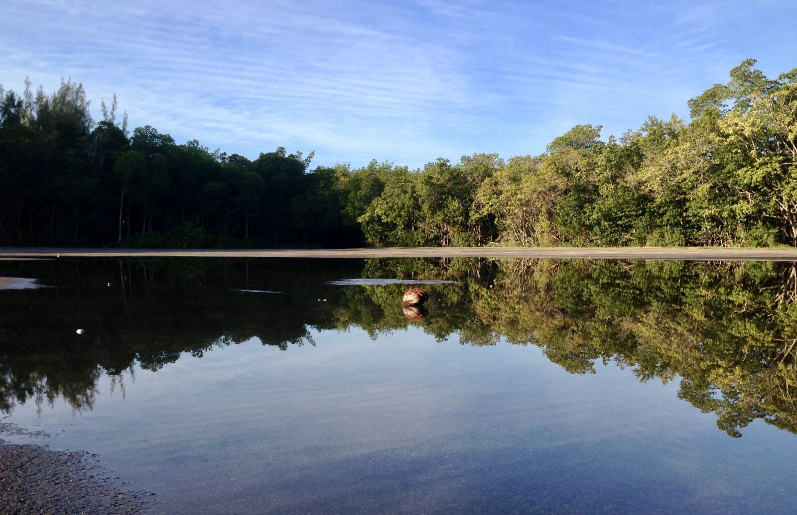 iPhone 5 back camera 4.12mm f/2.4 sample photo. Reflection, water, coconut photography