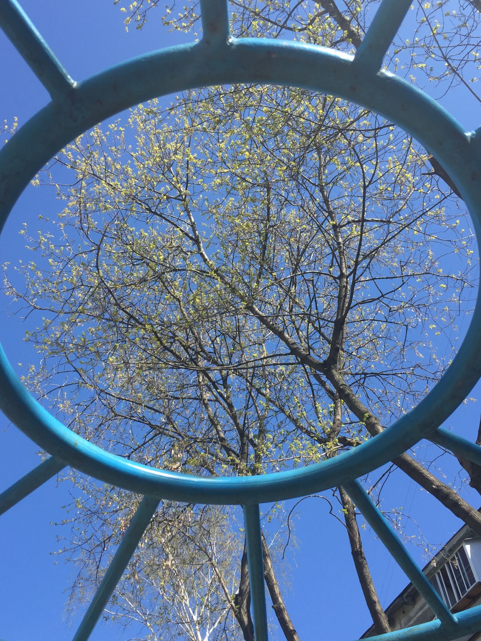 Apple iPhone 6 sample photo. Nature, sky, landscape photography