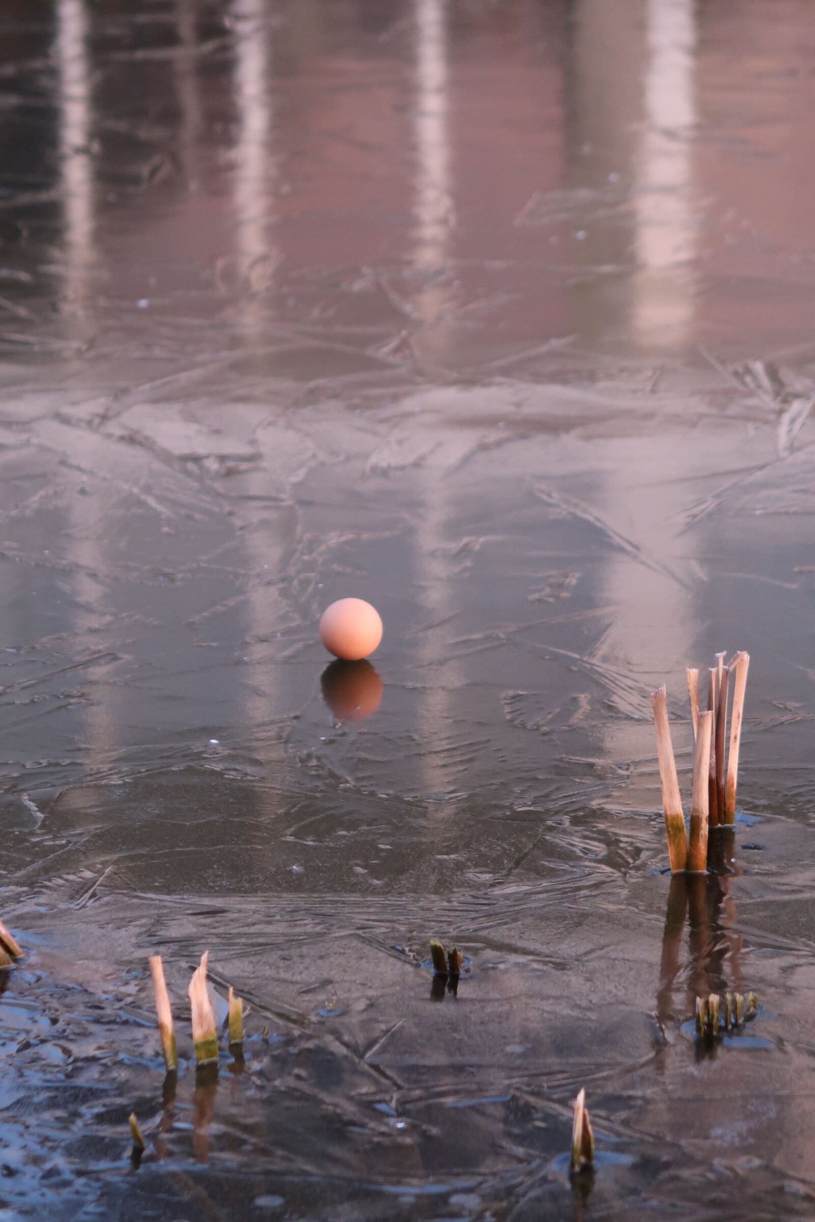 Canon PowerShot G7 X Mark II sample photo. Ij, ice, water photography