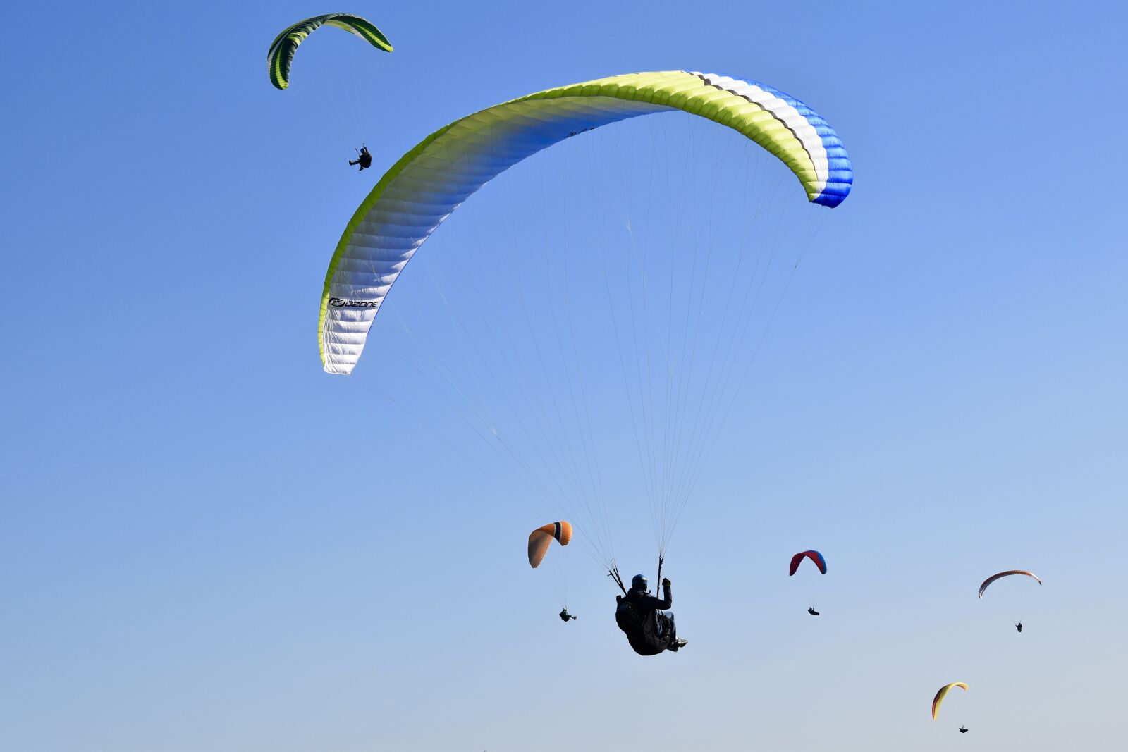 Nikon D5600 sample photo. Paragliding, paraglider, sails of photography