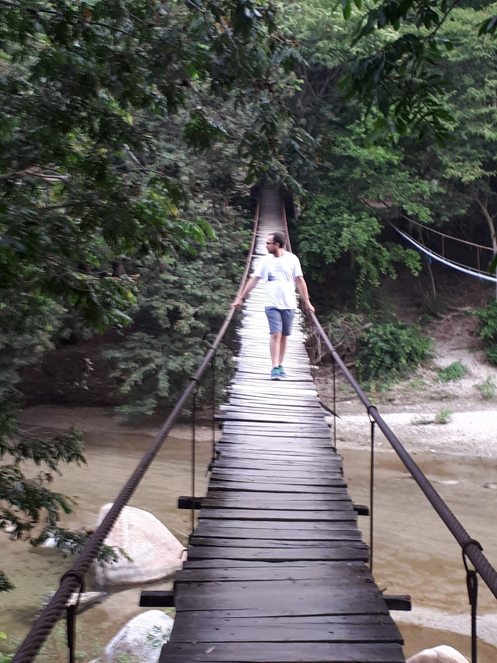 Samsung Galaxy A5(2017) sample photo. Bridge, forest, jungle photography