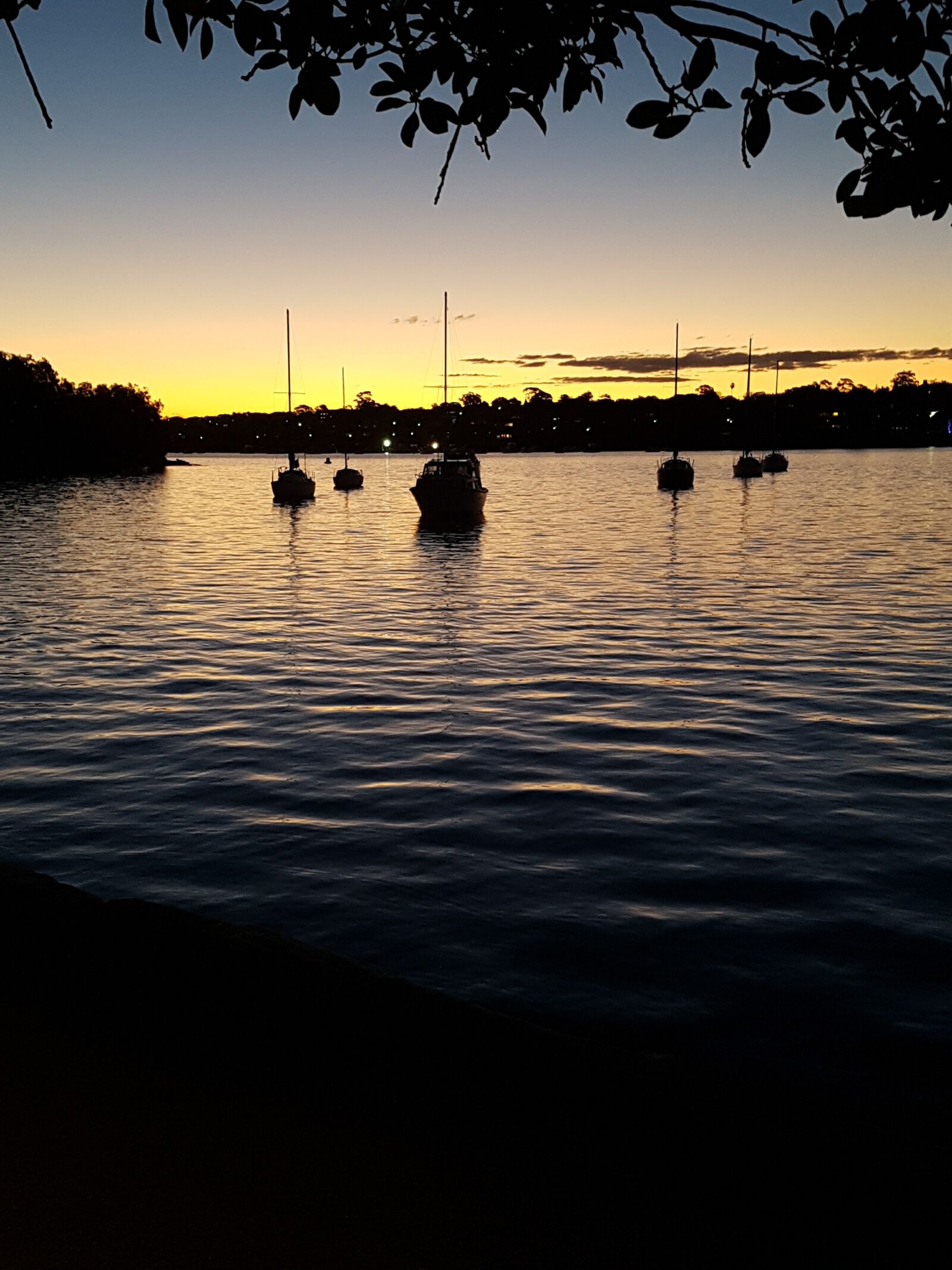 Samsung Galaxy S7 Edge sample photo. Bay, boats, leaves, ripples photography
