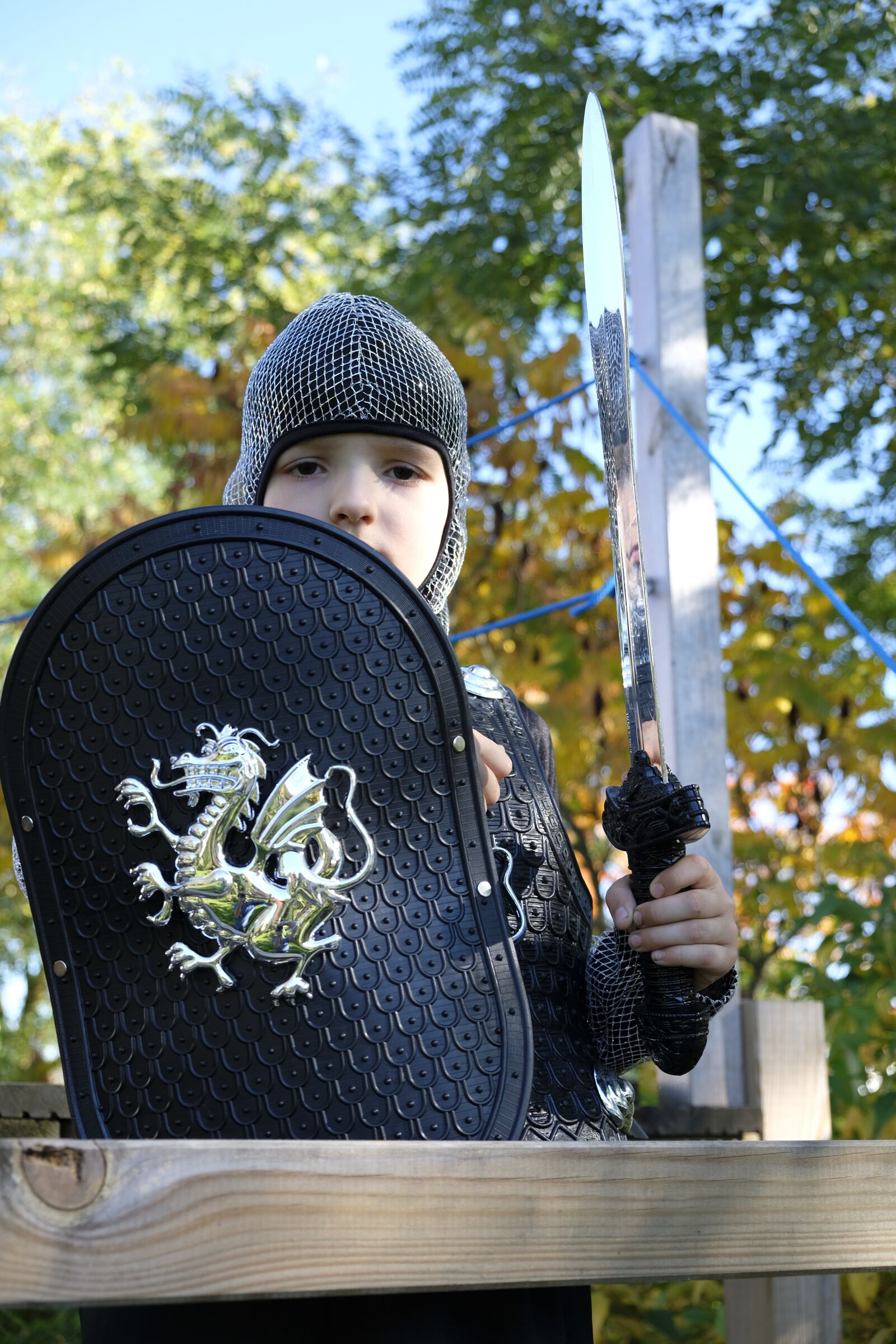 Fujifilm XF 18-55mm F2.8-4 R LM OIS sample photo. Knight, ritterruestung, armor photography